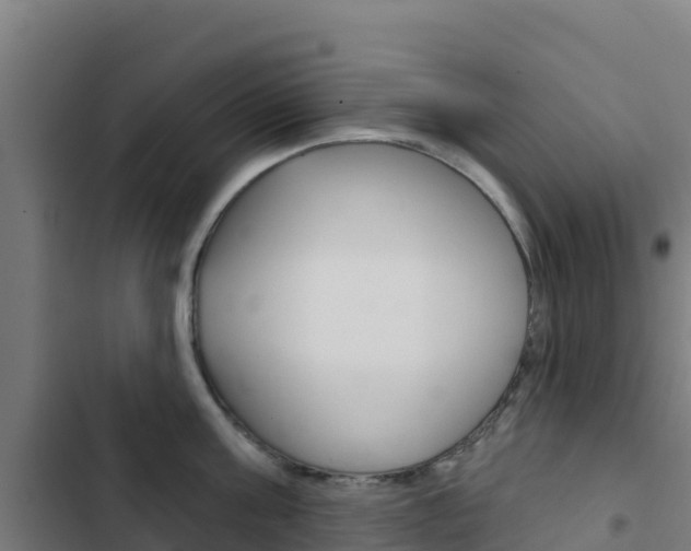 X0000103440811200809121100