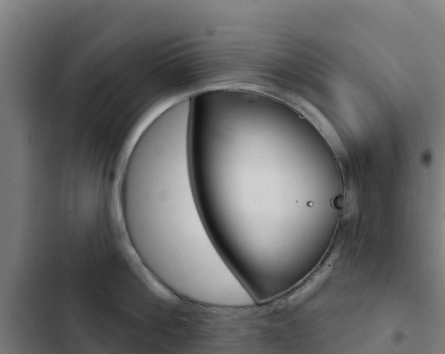 X0000103440812200809121100