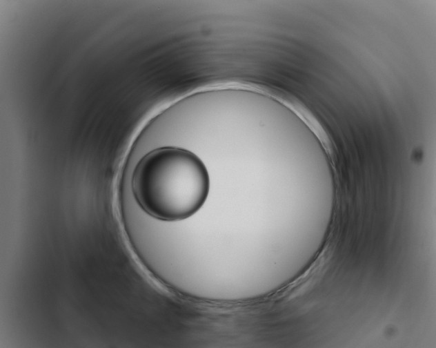 X0000103440813200809121100