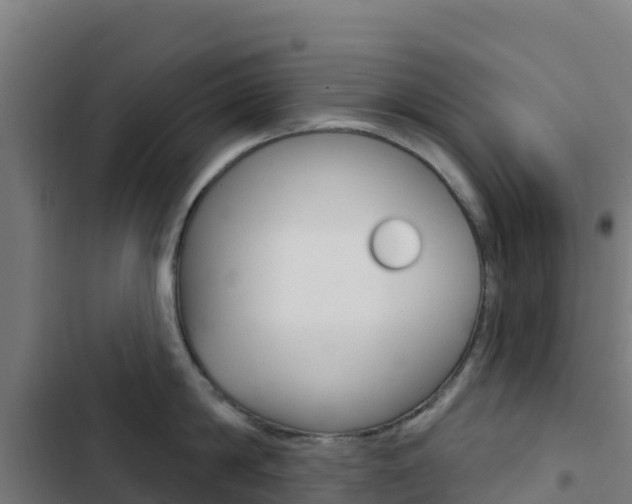 X0000103440814200809121100