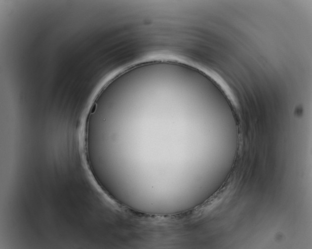 X0000103440815200809121100