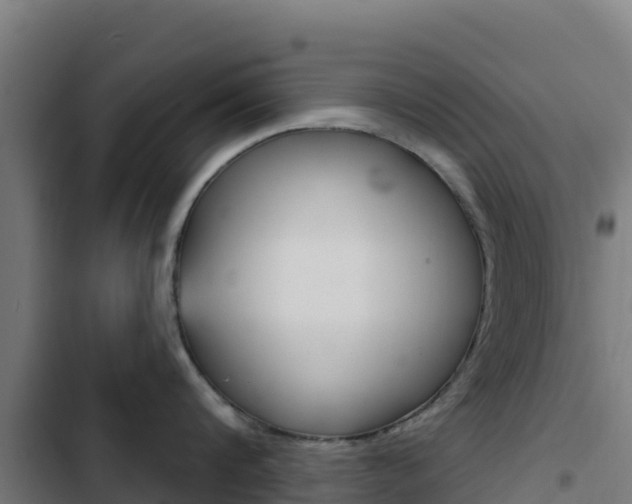 X0000103440816200809121059