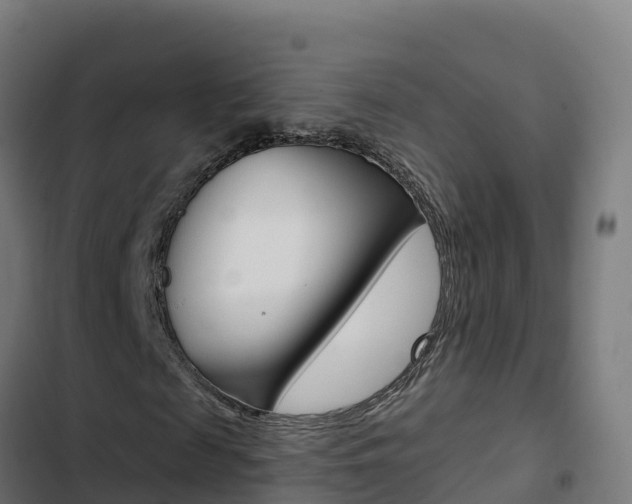 X0000103440817200809121059