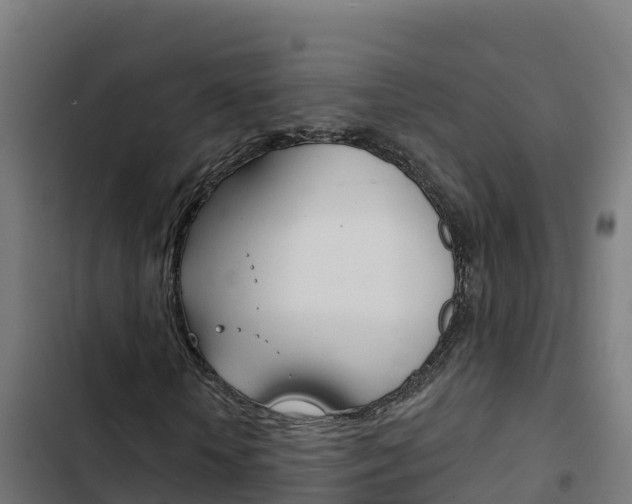 X0000103440818200809121059