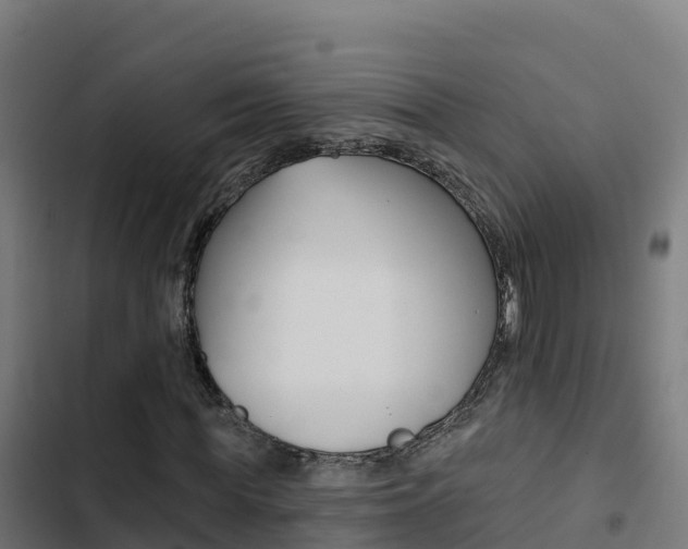 X0000103440819200809121059