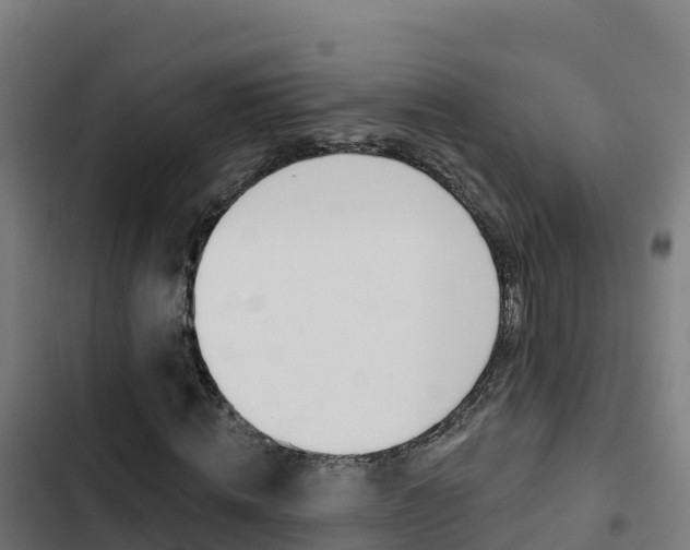 X0000103440820200809121059