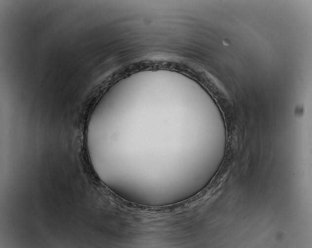 X0000103440821200809121059
