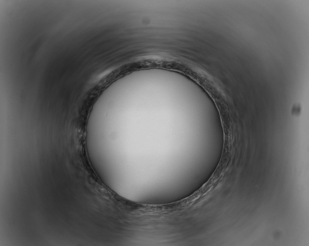 X0000103440822200809121059