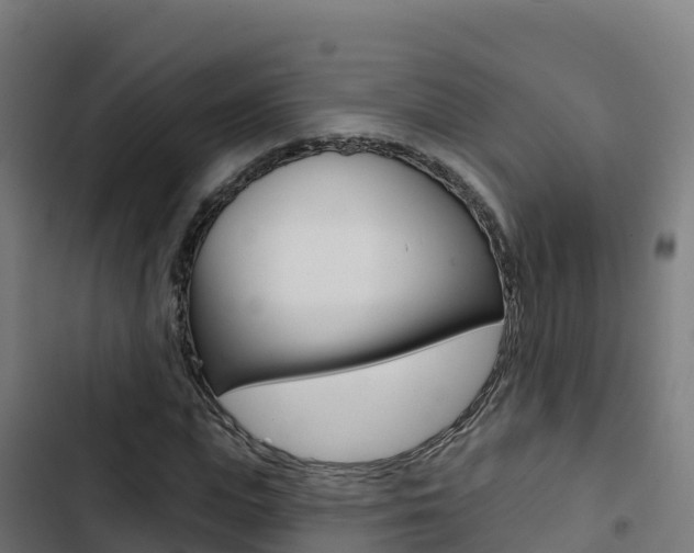 X0000103440823200809121059