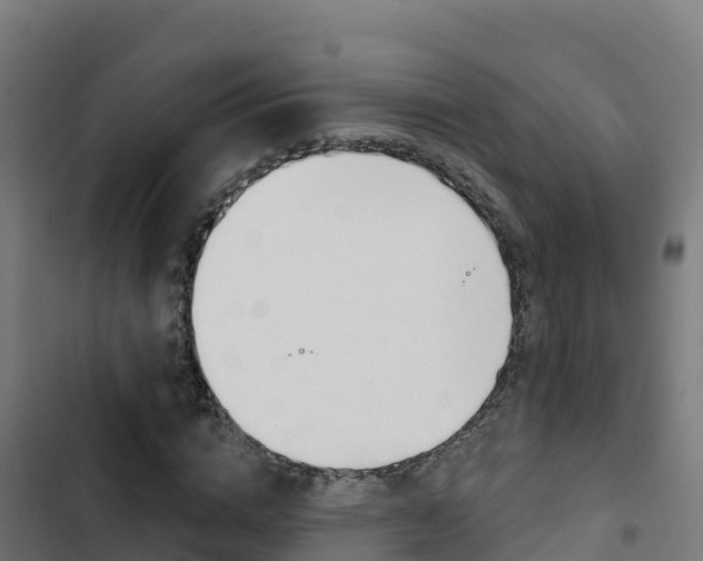 X0000103440824200809121059