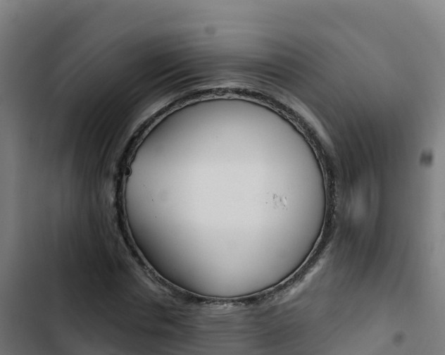 X0000103440826200809121059