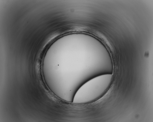 X0000103440827200809121059