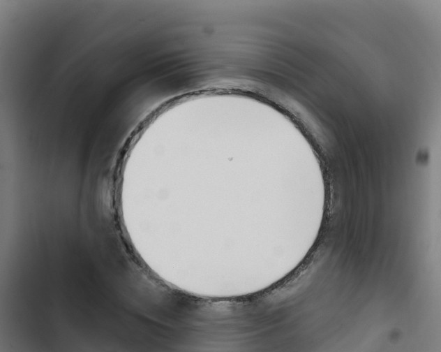 X0000103440828200809121059