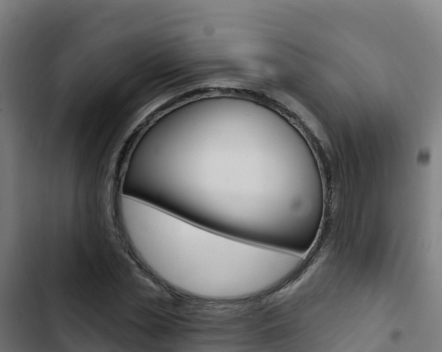 X0000103440829200809121059