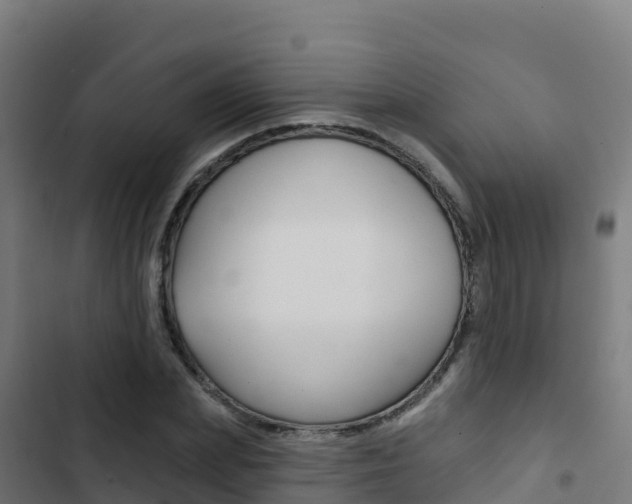 X0000103440831200809121059