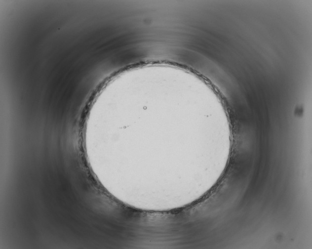 X0000103440832200809121059