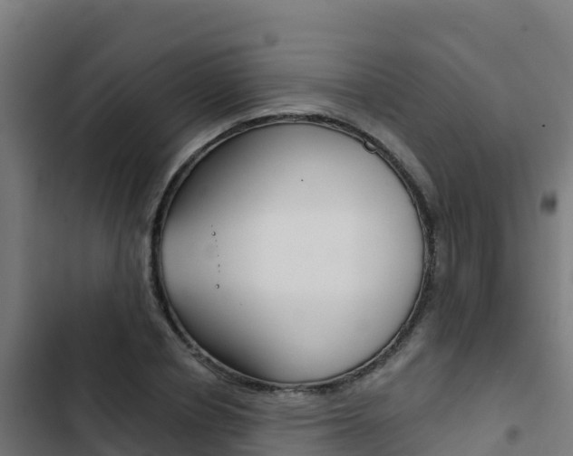 X0000103440834200809121059