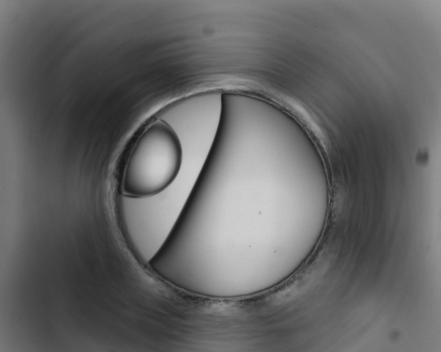 X0000103440835200809121059