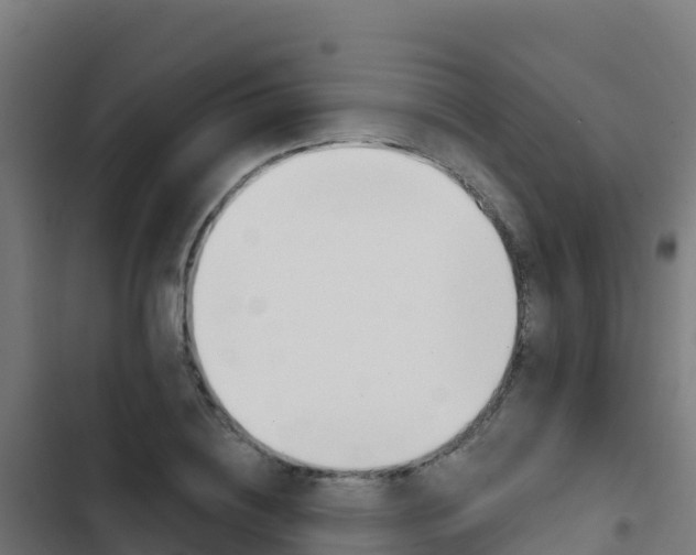 X0000103440836200809121059