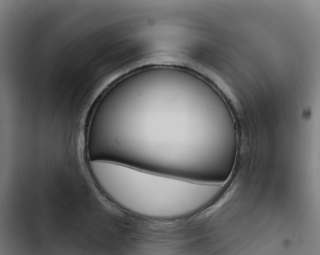 X0000103440837200809121059