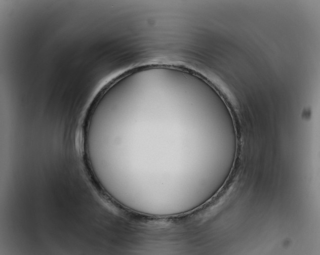 X0000103440838200809121059
