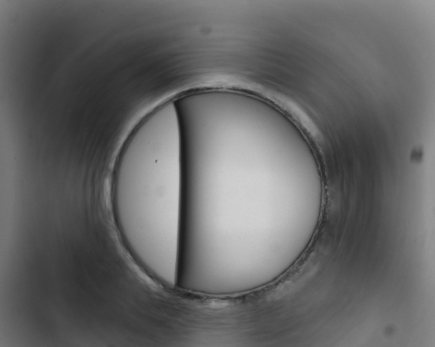 X0000103440839200809121059