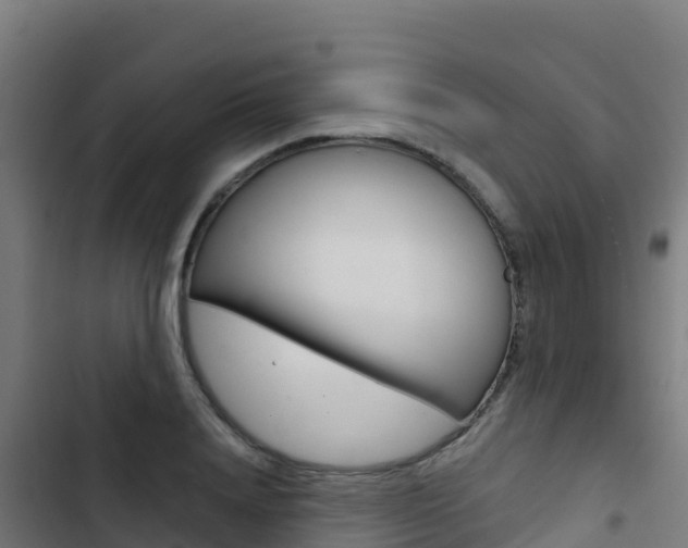 X0000103440840200809121059