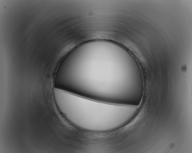 X0000103440841200809121059