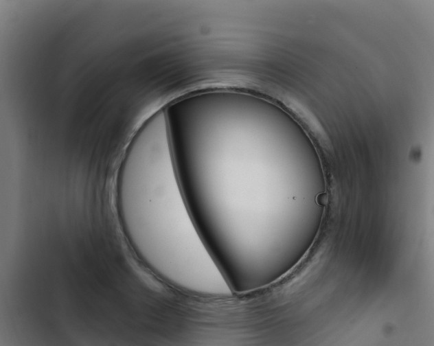 X0000103440842200809121059