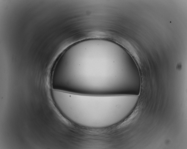 X0000103440843200809121059