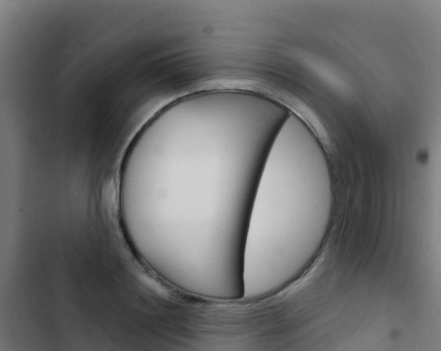 X0000103440844200809121059