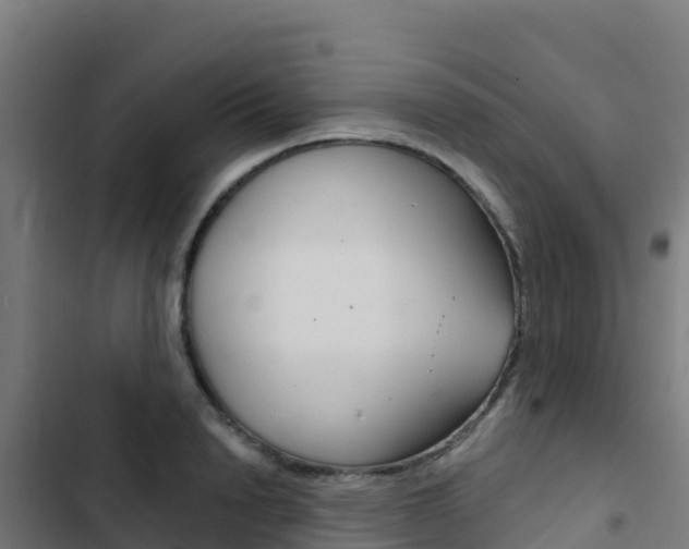 X0000103440846200809121059