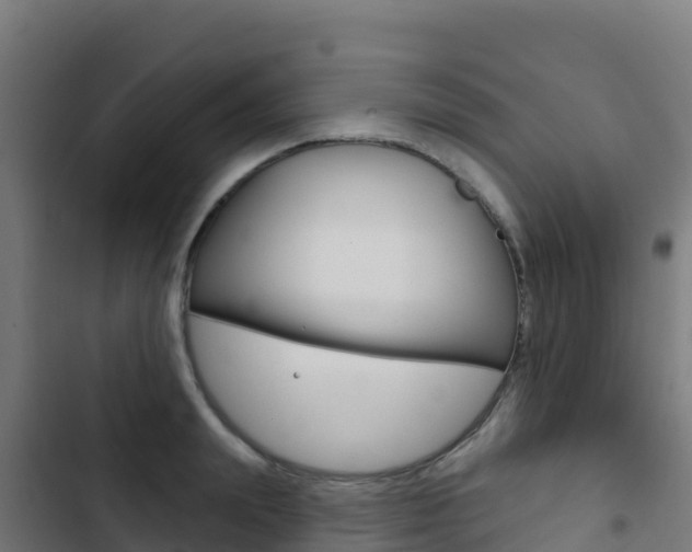 X0000103440847200809121059