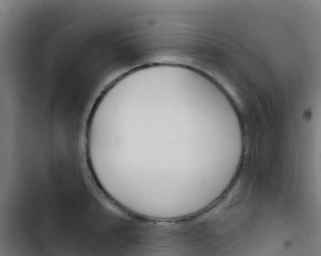 X0000103440848200809121059