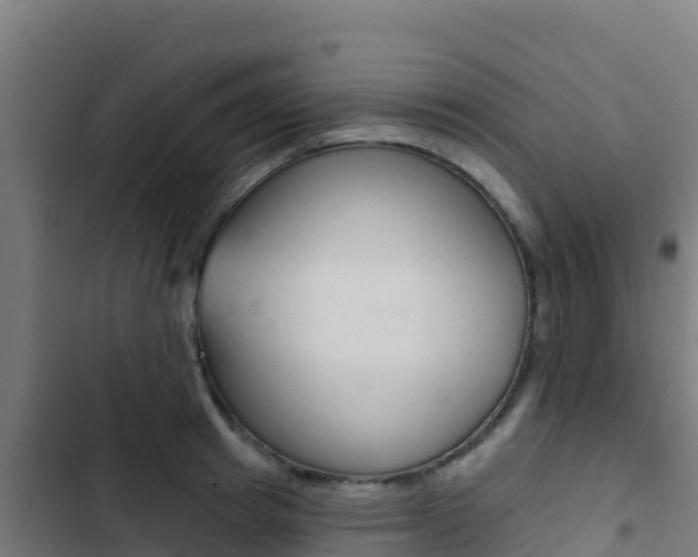 X0000103440849200809121059