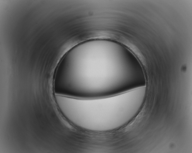 X0000103440850200809121059
