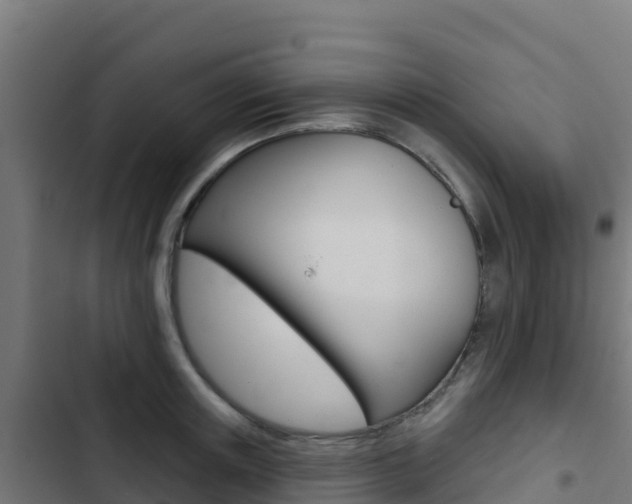 X0000103440851200809121059