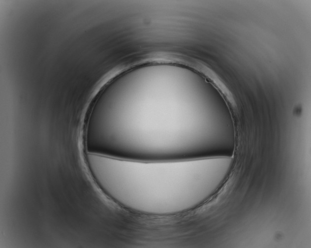 X0000103440853200809121059