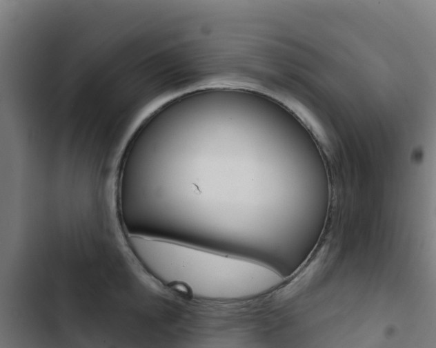 X0000103440854200809121059