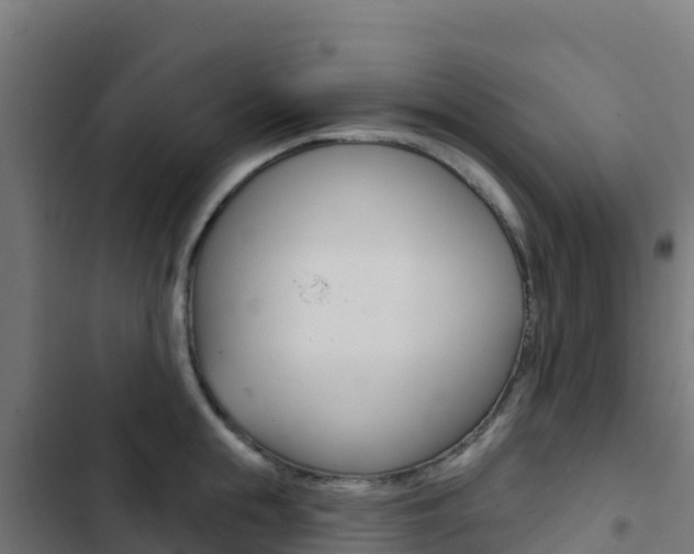 X0000103440855200809121059