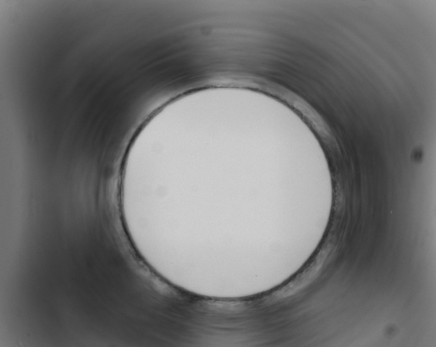 X0000103440856200809121059