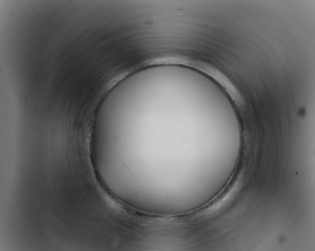 X0000103440857200809121059