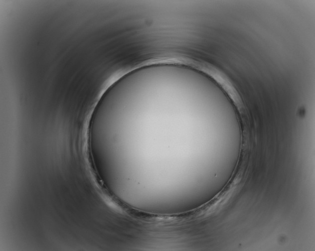 X0000103440858200809121059
