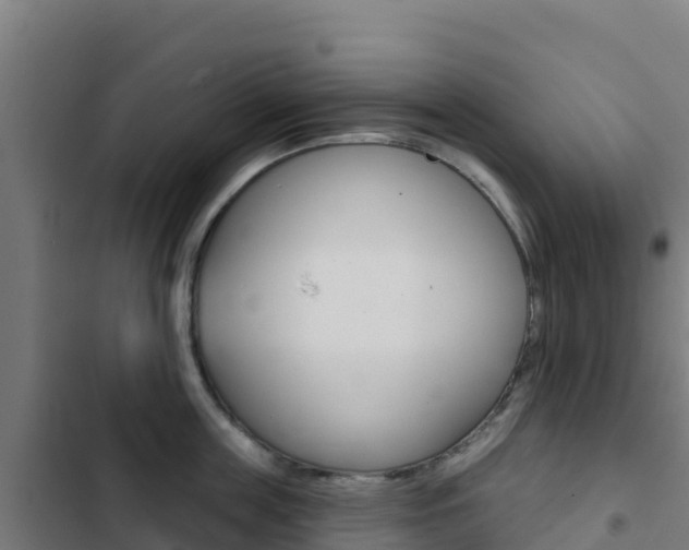 X0000103440859200809121059