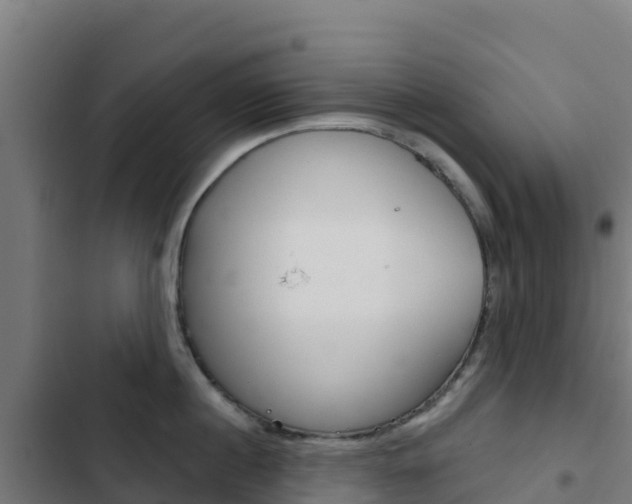 X0000103440860200809121059