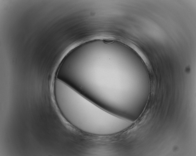 X0000103440861200809121059