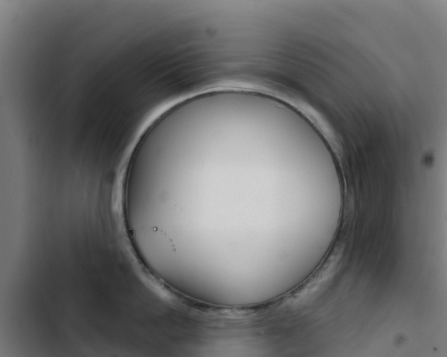 X0000103440862200809121059