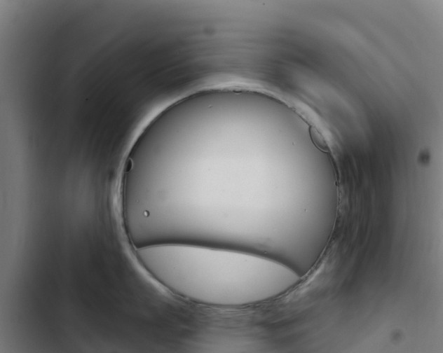 X0000103440863200809121059