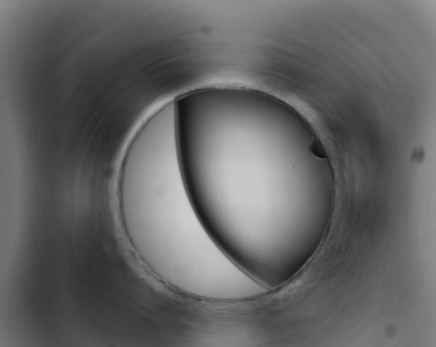 X0000103440864200809121059