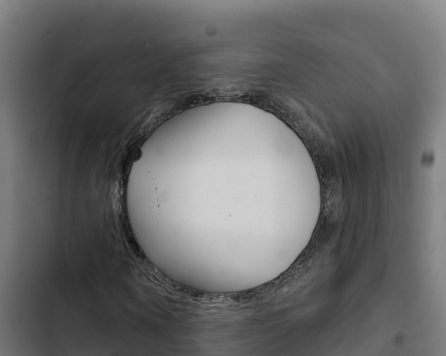 X0000103440866200809121059